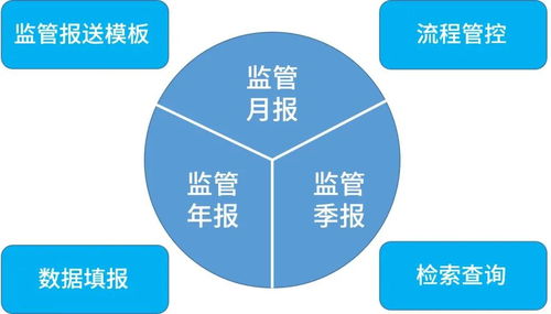 盛邦安全發(fā)布金融行業(yè)信息科技非現場監(jiān)管報表填報系統(tǒng) rayport
