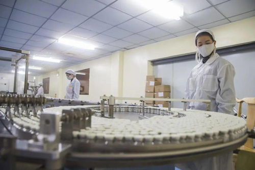 沙坪壩 智能產業(yè)規(guī)模突破1500億元